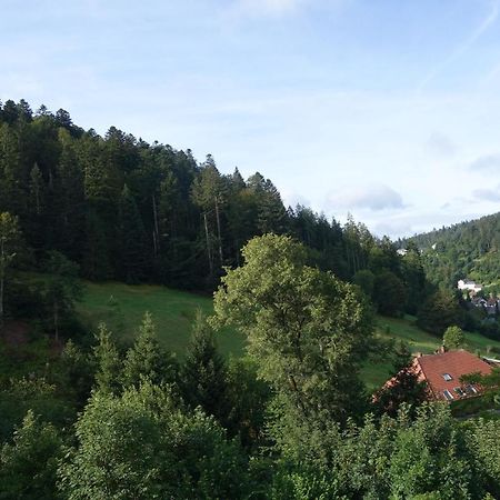 Apartament Zum Schwalbennest Todtmoos Zewnętrze zdjęcie