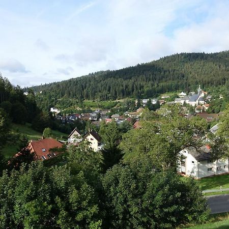 Apartament Zum Schwalbennest Todtmoos Zewnętrze zdjęcie