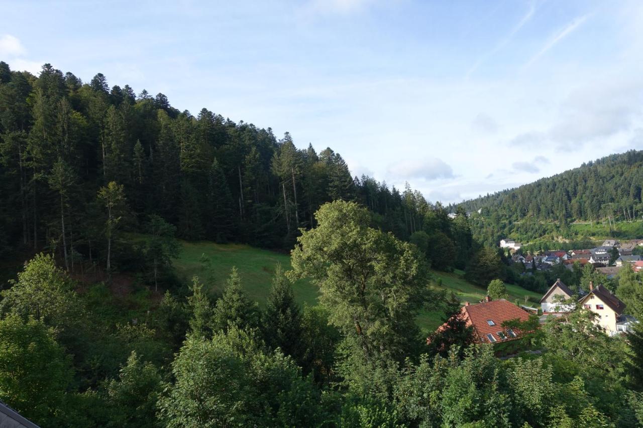 Apartament Zum Schwalbennest Todtmoos Zewnętrze zdjęcie