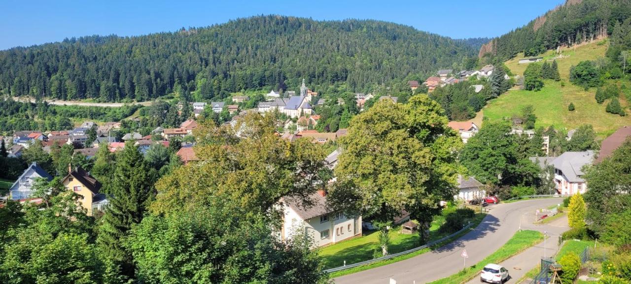 Apartament Zum Schwalbennest Todtmoos Zewnętrze zdjęcie