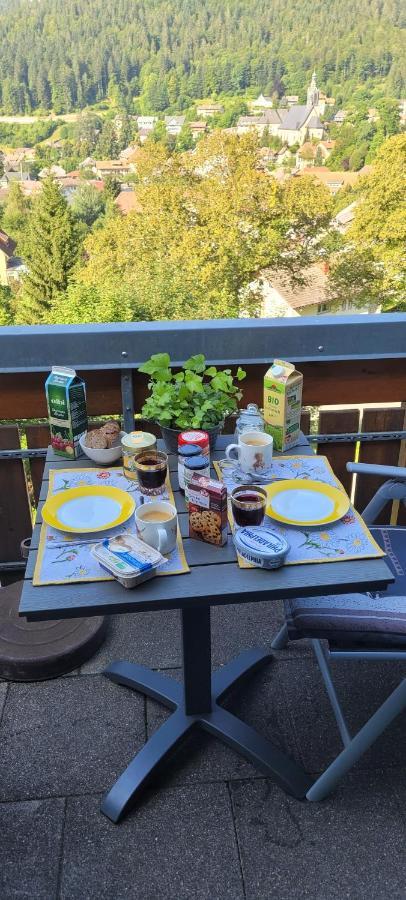 Apartament Zum Schwalbennest Todtmoos Zewnętrze zdjęcie