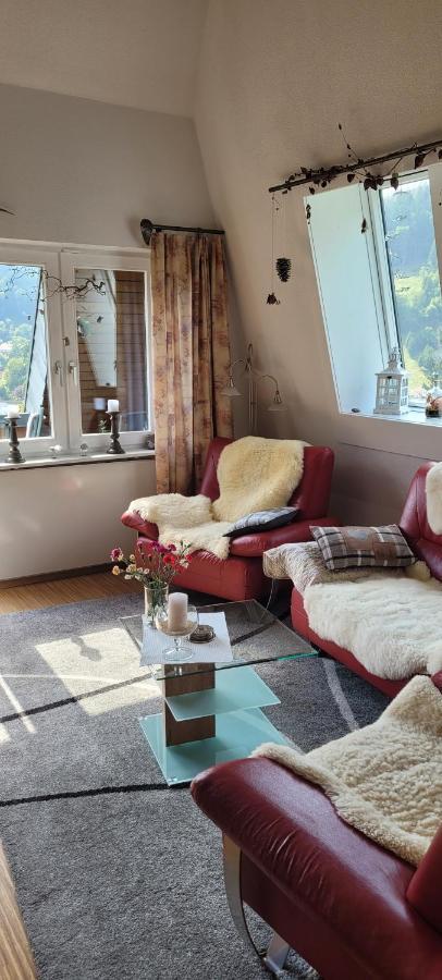 Apartament Zum Schwalbennest Todtmoos Zewnętrze zdjęcie