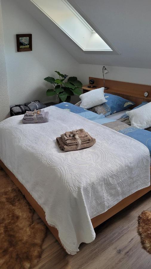 Apartament Zum Schwalbennest Todtmoos Zewnętrze zdjęcie