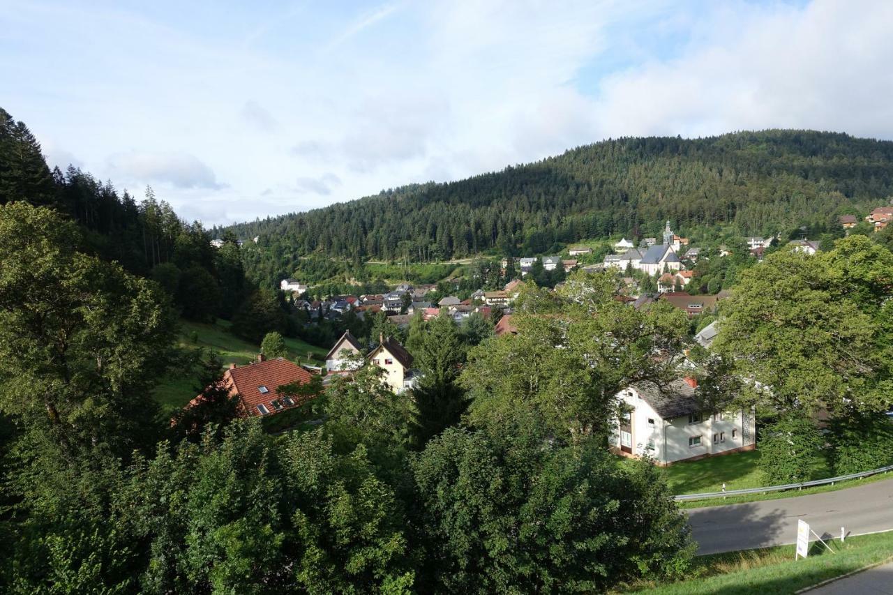 Apartament Zum Schwalbennest Todtmoos Zewnętrze zdjęcie