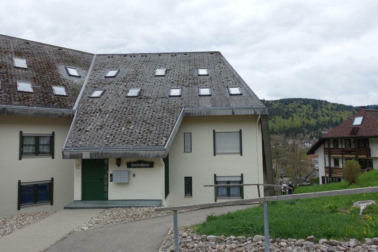 Apartament Zum Schwalbennest Todtmoos Zewnętrze zdjęcie