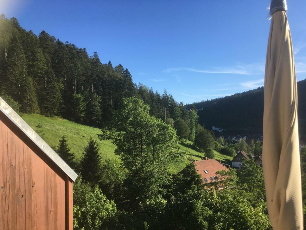 Apartament Zum Schwalbennest Todtmoos Zewnętrze zdjęcie