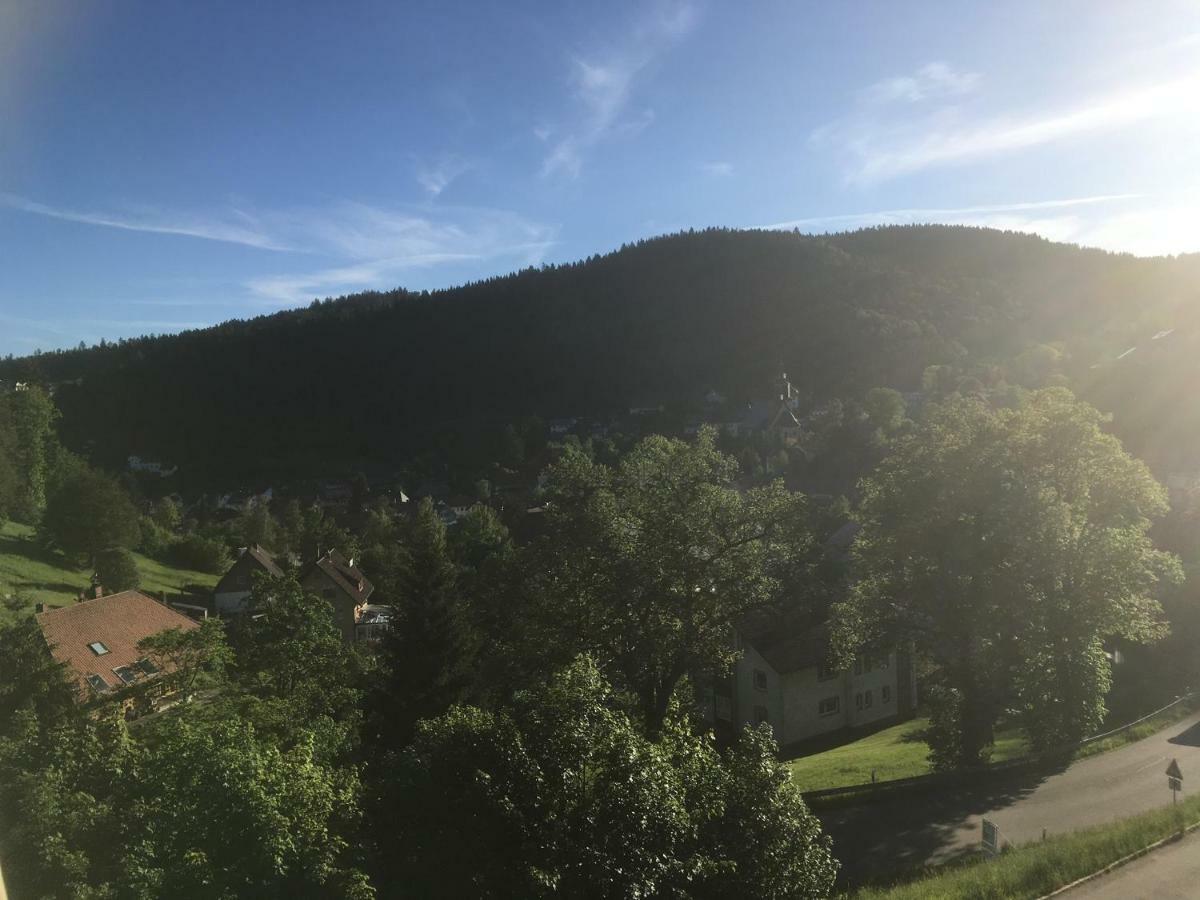 Apartament Zum Schwalbennest Todtmoos Zewnętrze zdjęcie